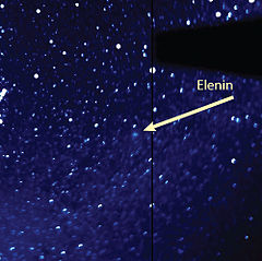 Elenin
